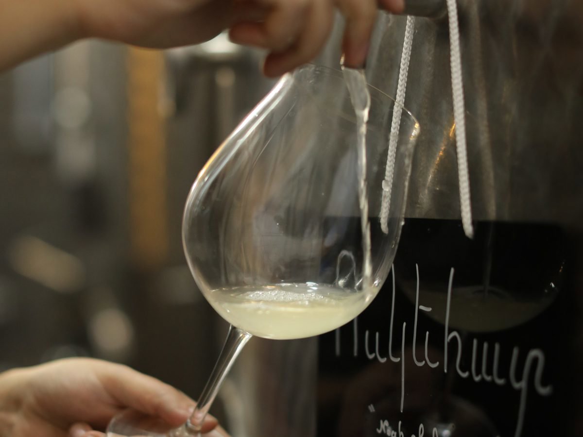 Winery - Young Selection